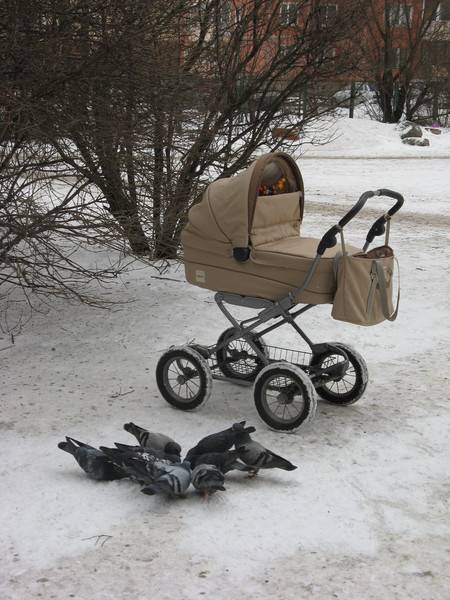 Прогулочные коляски для зимы: обзор самых популярных моделей