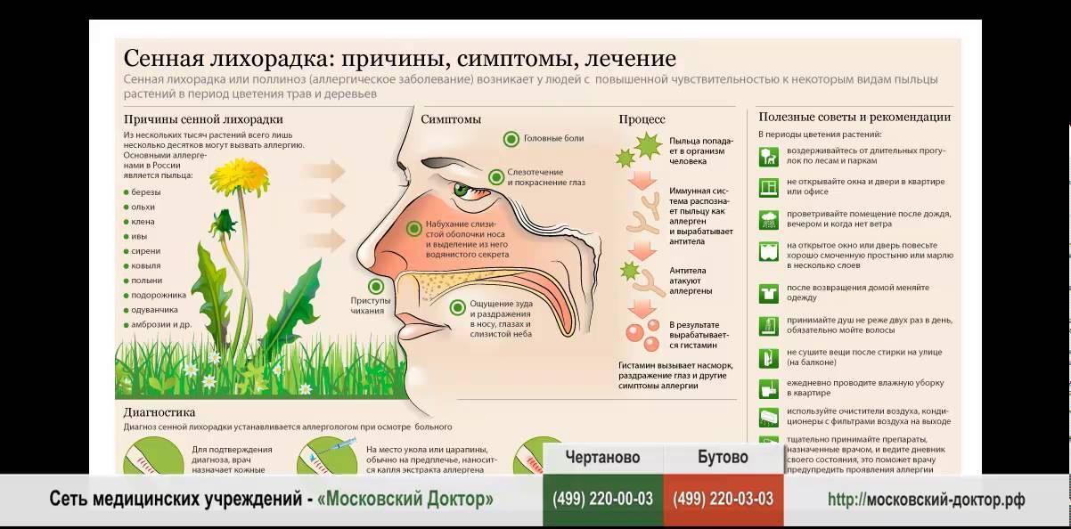 Аллергия на растения | компетентно о здоровье на ilive