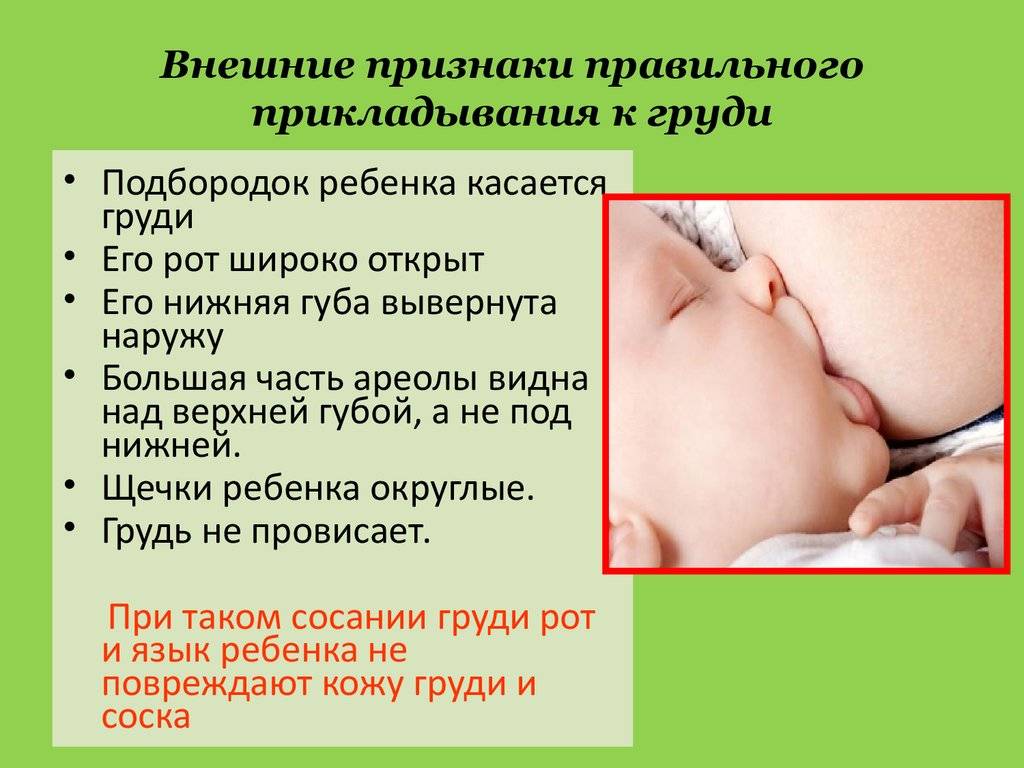 Правильное прикладывание ребенка к груди при гв