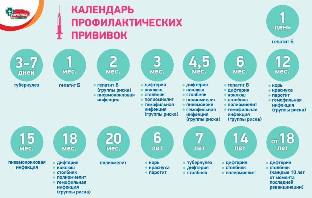 Вакцинация в россии: календарь профилактических прививок