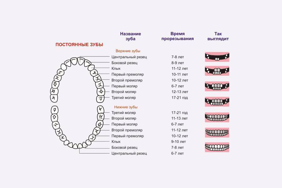 Аномалии зубов | аномалии положения, числа, формы и размера зубов