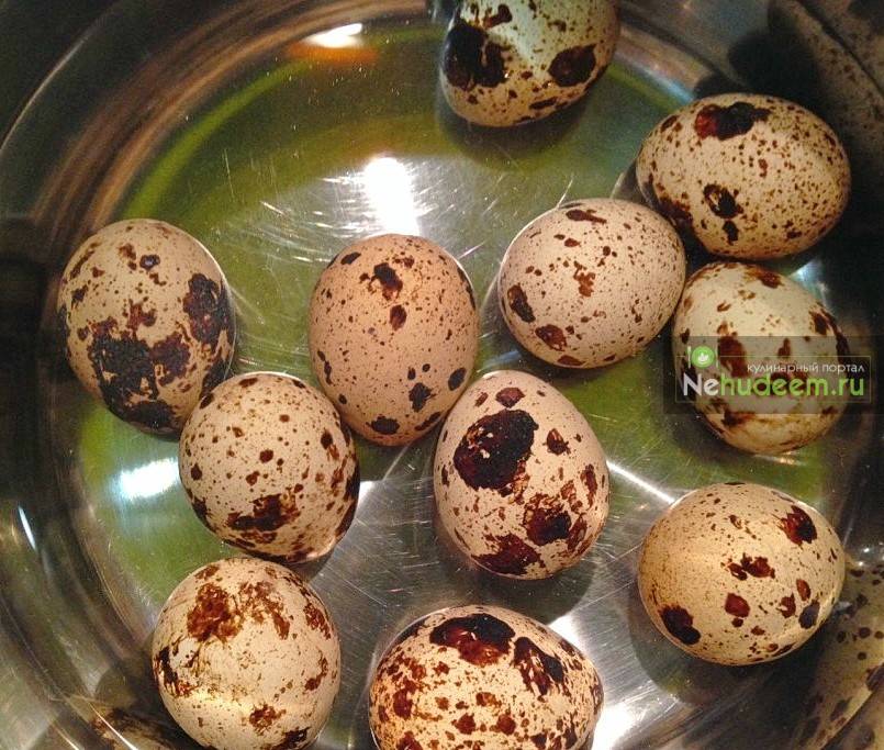 Как правильно варить перепелиные яйца после закипания воды: вкрутую и в смятку