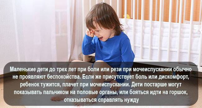 Почему малыш плачет перед тем как пописать ~ детская городская поликлиника №1 г. магнитогорска