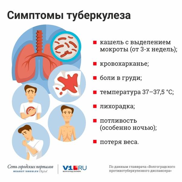 Туберкулез. симптомы, лечение и профилактика туберкулеза у детей