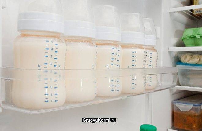 Жирность домашнего коровьего молока — как увеличить и определить
