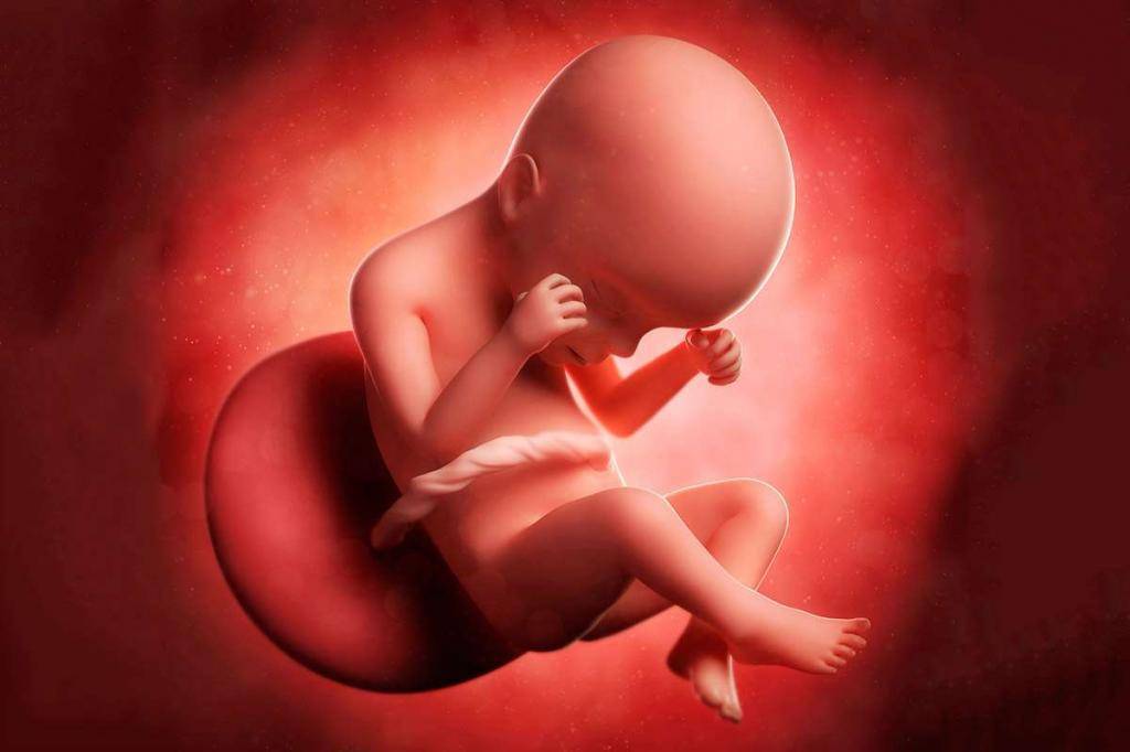 Можно ли повредить ребенка в утробе матери при наклонах и других неосторожных действиях?