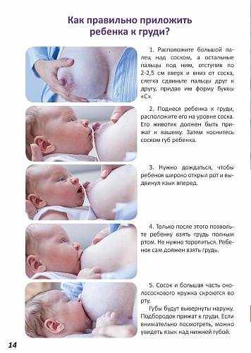 Первые вопросы о кормлении грудью в роддоме . первое кормление новорожденного молозивом