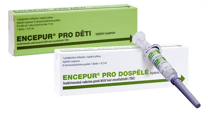 Прививка от клещевого энцефалита в екатеринбурге - цены на удаление клеща в новой больнице