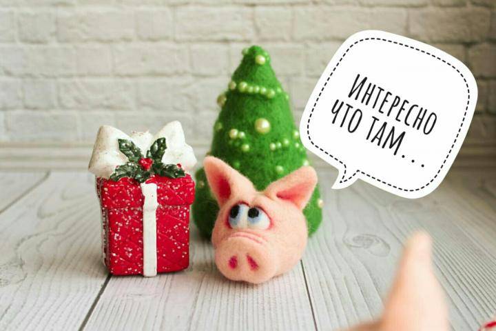 Подарки с символикой 2019 года свиньи: лучшие сувенирные подарки