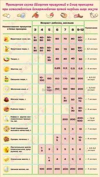 Схема и таблица прикорма детей до года основными продуктами