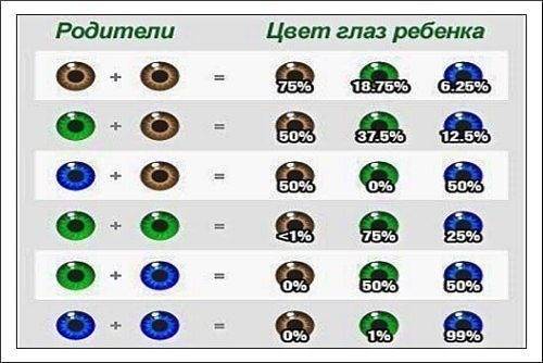Цвет глаз у ребенка от родителей: таблица вероятности карего, голубого и зеленого оттенка