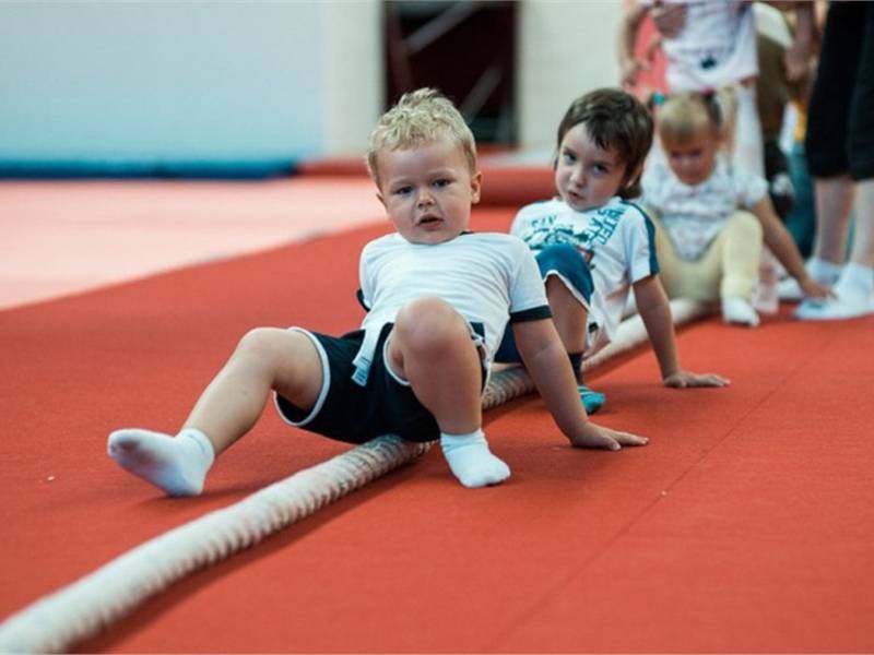 Спортивные секции для детей от 3 лет и кружки - куда можно отдать девочку и мальчика?