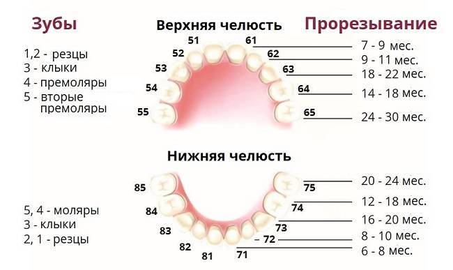 Симптомы и осложнения при прорезывании зубов
