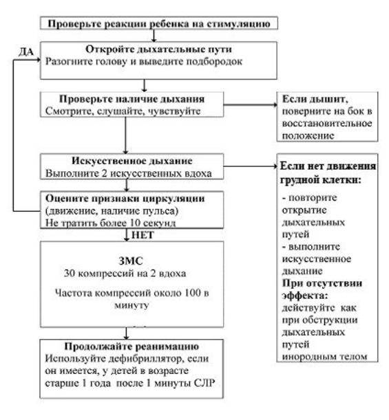 Как долго проводить реанимацию новорождённым? | педиатрия и неонатология