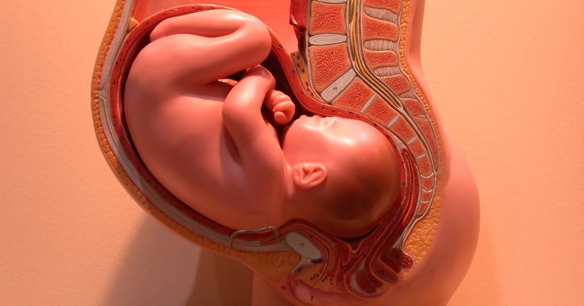 Как ведут себя дети перед рождением: шевеления в схватках, активность перед родами