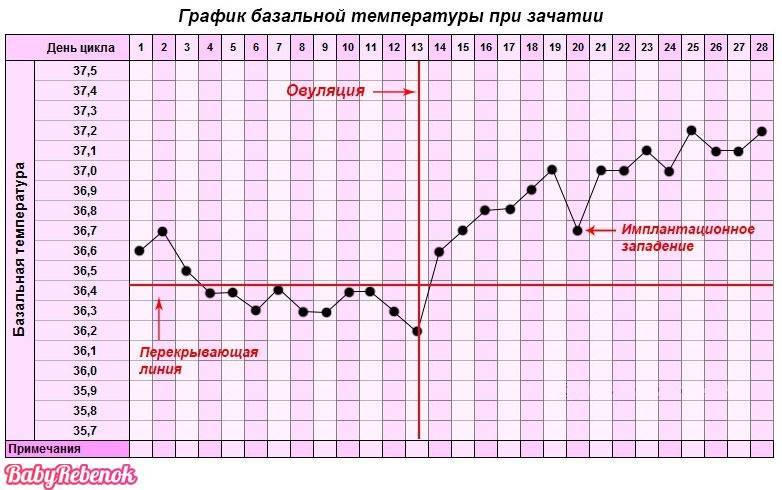 Низкая температура тела при беременности: причины и что делать?