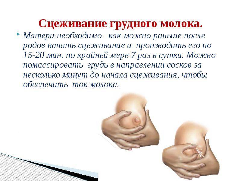 Сцеживание грудного молока: правильная техника