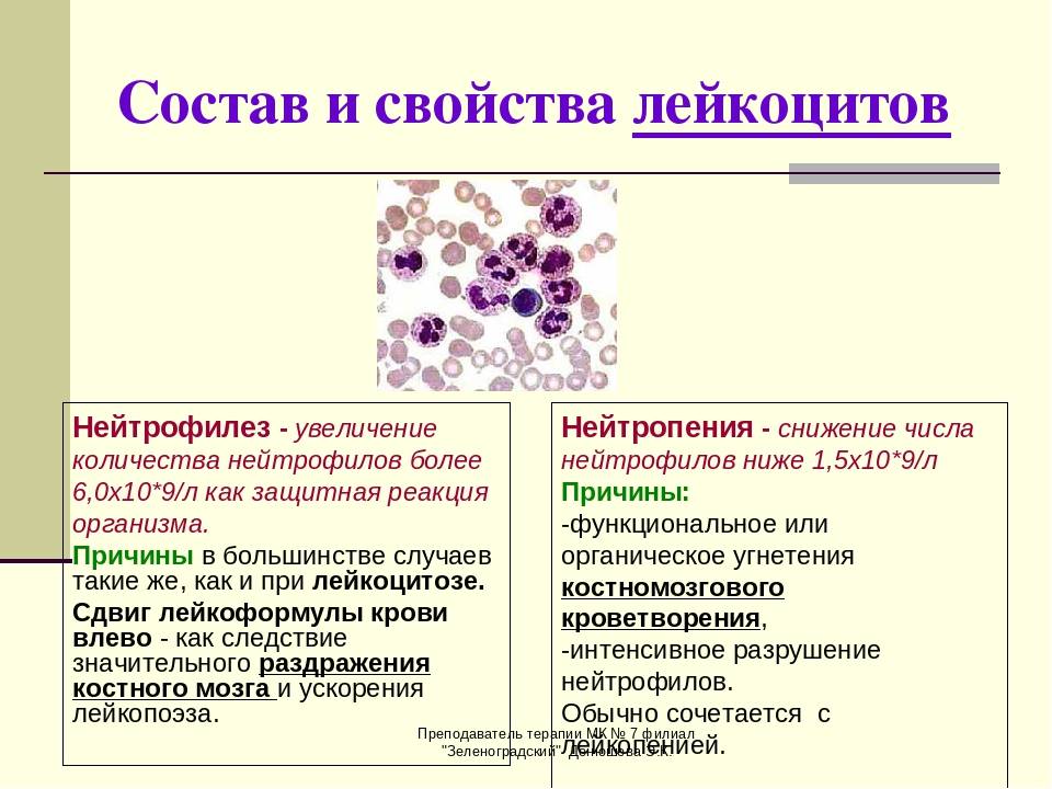 О чем говорит уровень лейкоцитов в крови