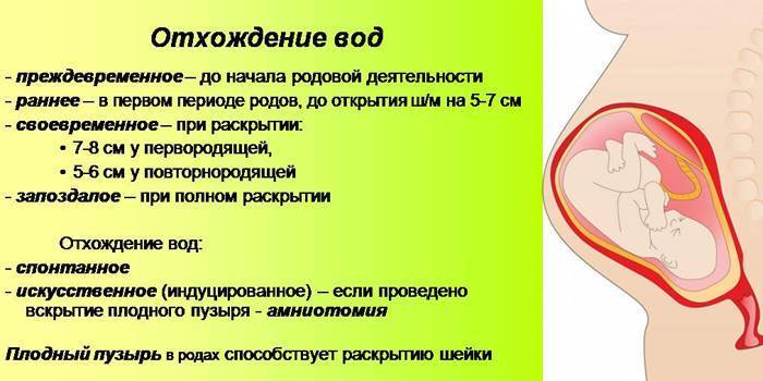 ᐉ сколько должна отходить пробка у беременных. какие бывают пробки перед родами? когда отходит и какого цвета пробка перед родами - ➡ sp-kupavna.ru