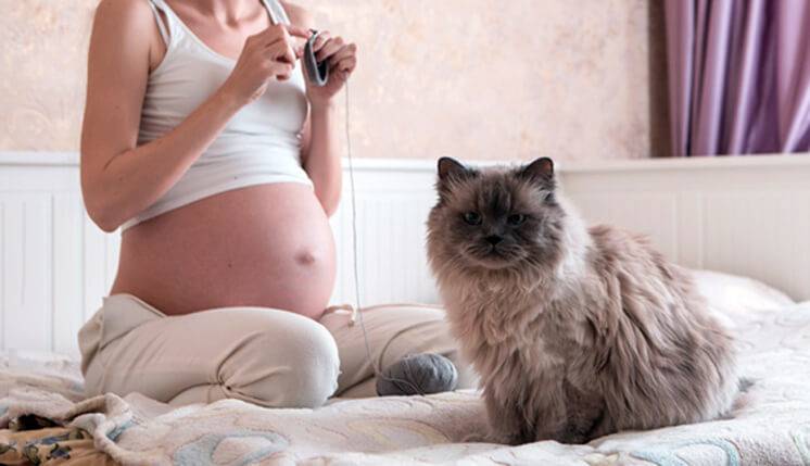 Чего нельзя делать беременным: народные приметы и суеверия