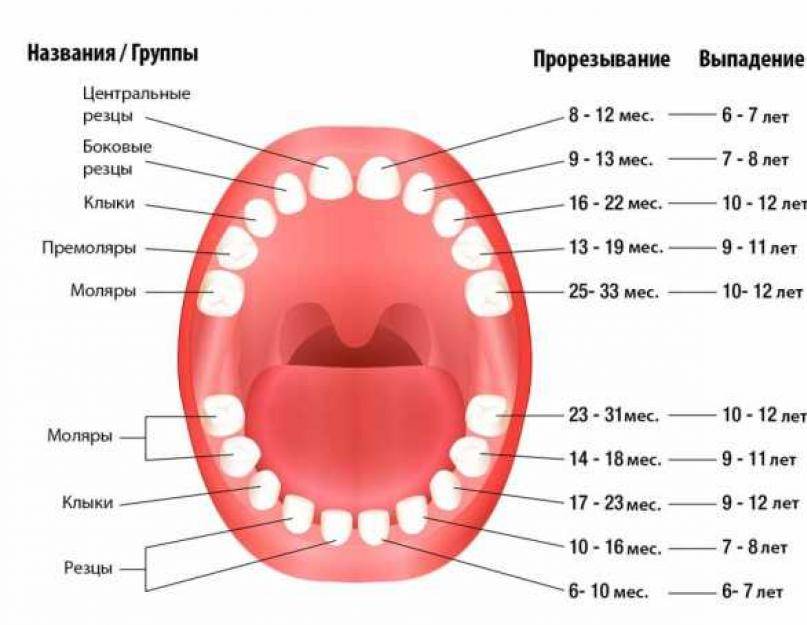 Что делать, если нет зуба: последствия и методы восстановления