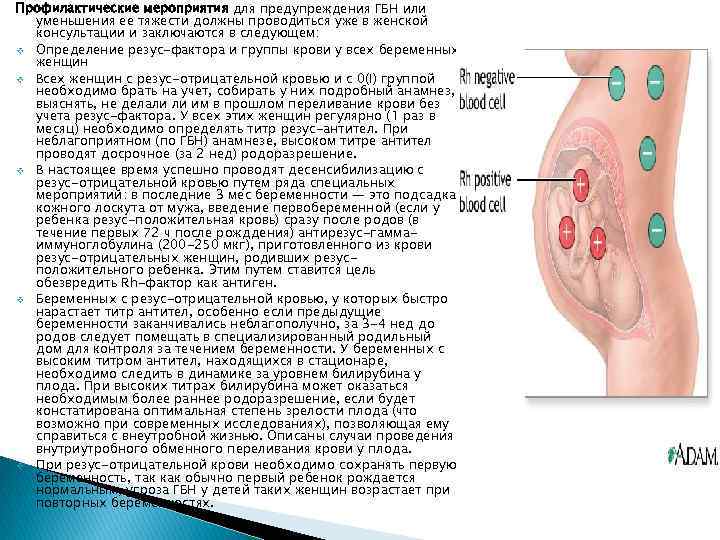 Титр резус антитела