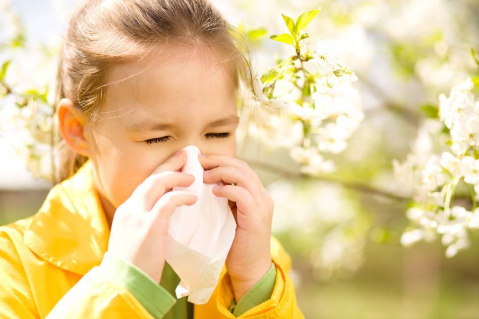 Топ-7 аллергенов в нашем доме и способы борьбы с ними