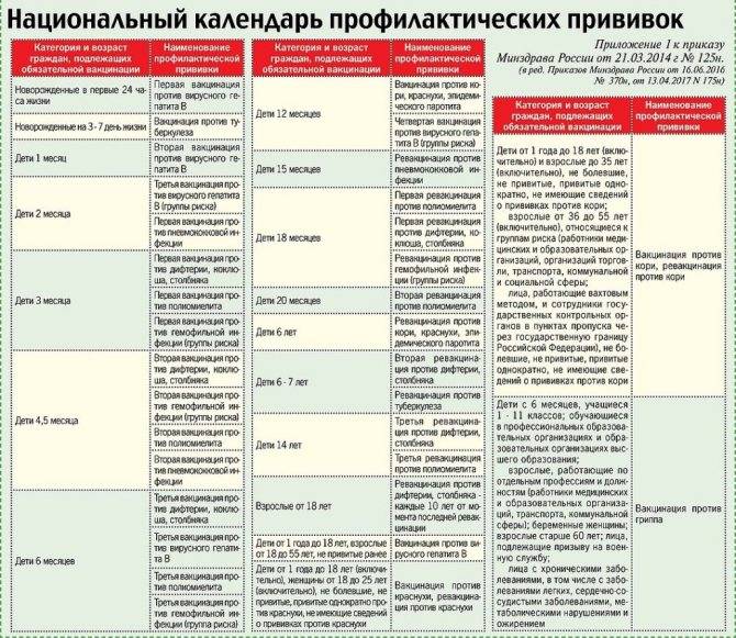 Календарь прививок по месяцам до 1 года: список и график плановой вакцинации детей в России