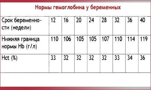 Анемия во время беременности. группы риска, профилактика и лечение.