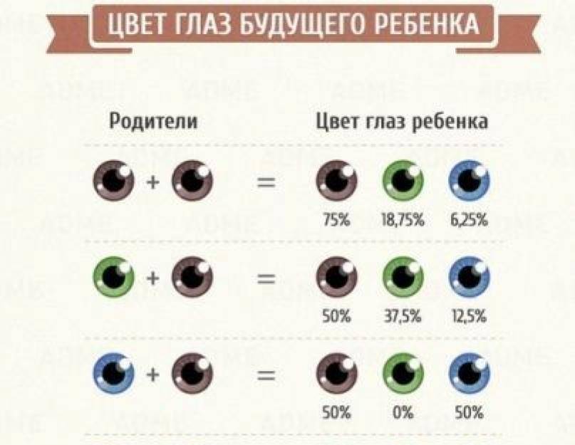Наследование цвета глаз у человека: таблица
