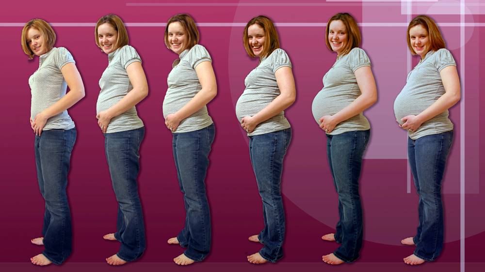 8 неделя беременности (1 триместр)