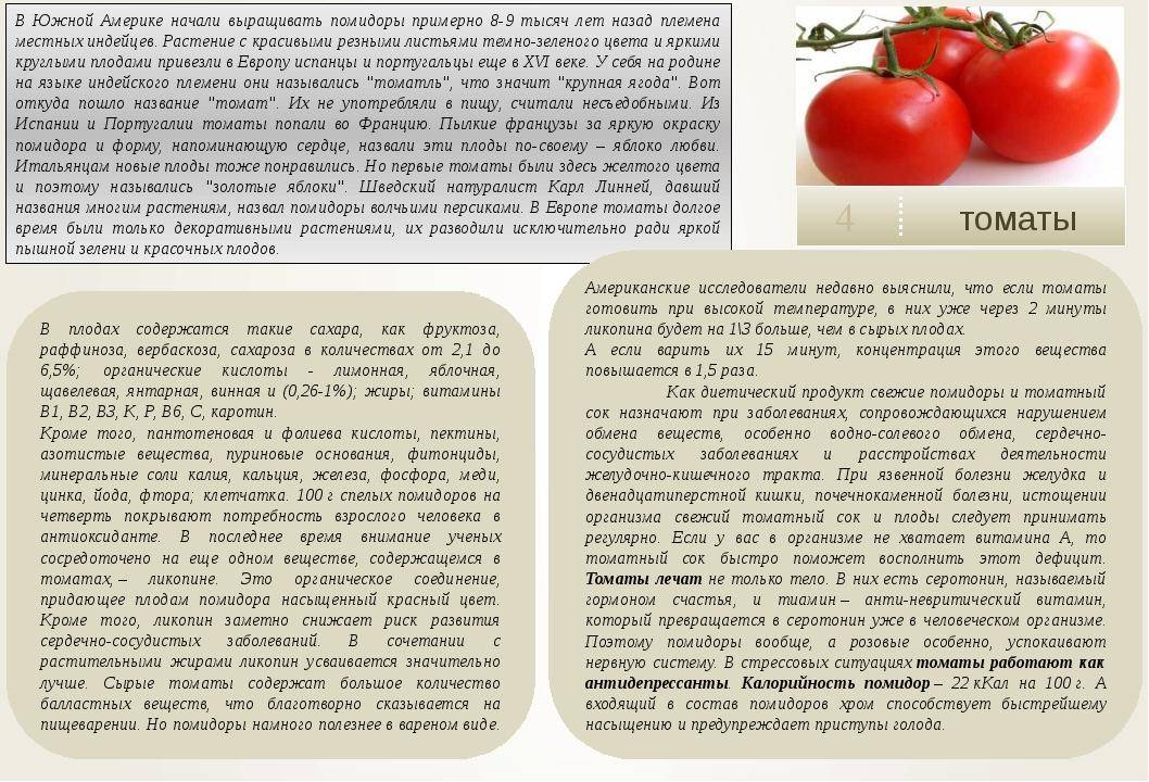 Свежие помидоры польза и вред. какие витамины в помидорах?