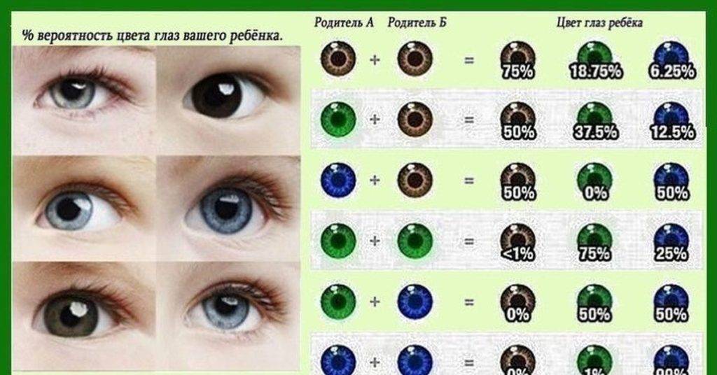 Какие глаза будут у ребенка: таблица, возможны ли исключения