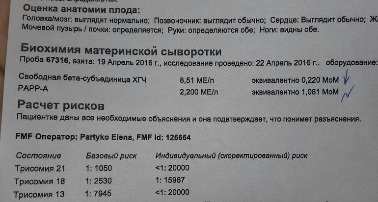 Хгч свободный при беременности. Свободная бета-субъединица ХГЧ норма. Свободная субъединица бета-ХГЧ норма в 12 недель беременности. Свободная бета-субъединица ХГЧ норма в мом. Свободная бета-субъединица ХГЧ В 13 недель норма в мом.