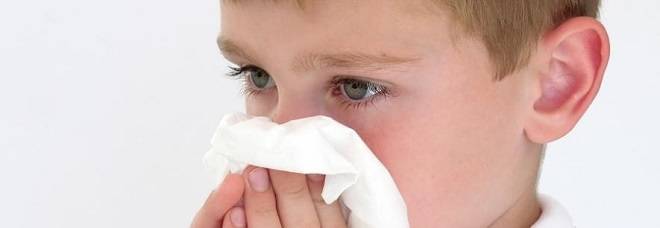 Причины и симптомы аллергического ринита