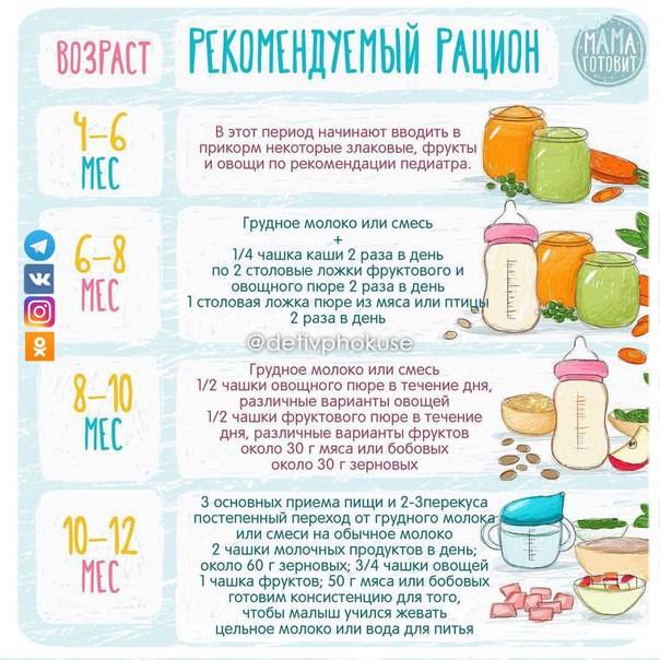 Овощи для первого прикорма: схема введения, рецепты овощного пюре для ребенка 4-6 месяцев