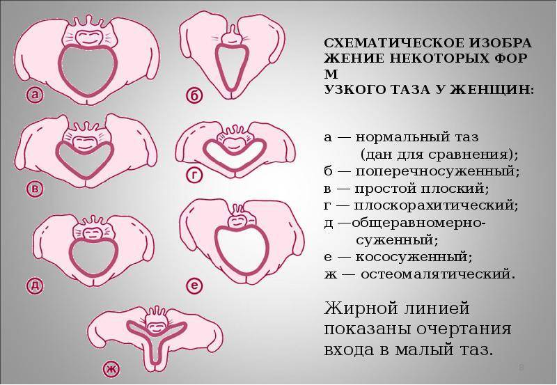 Физиологические изменения во время беременности | kinesiopro
