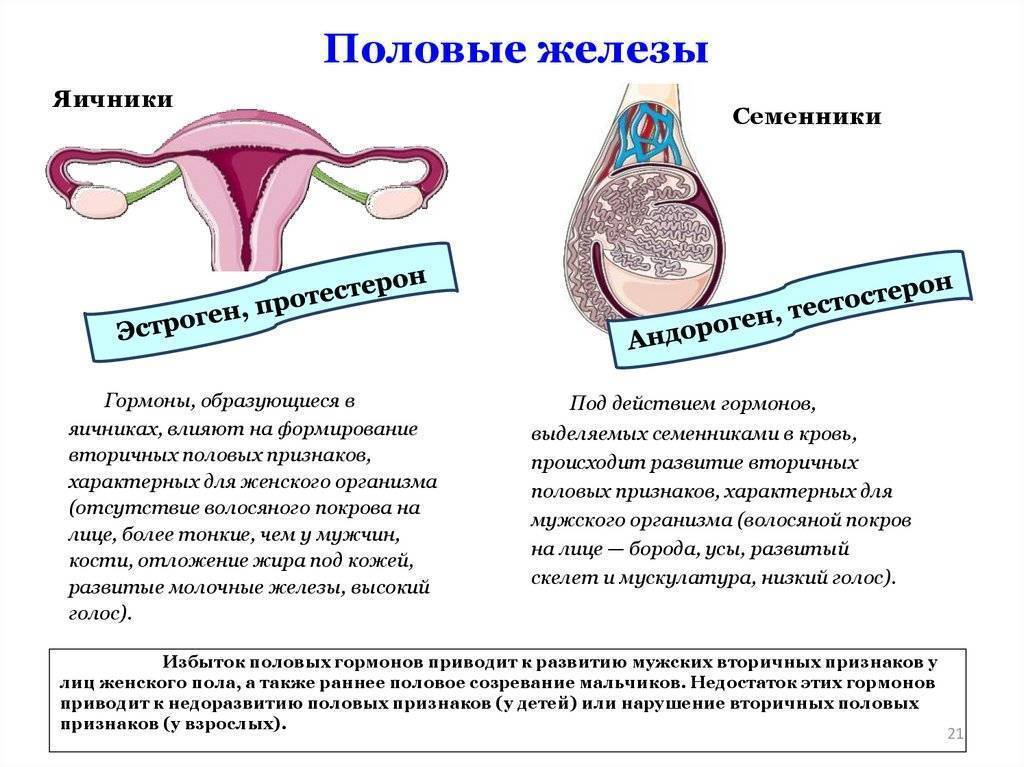 Пониженный прогестерон во время беременности: что делать? * клиника диана в санкт-петербурге