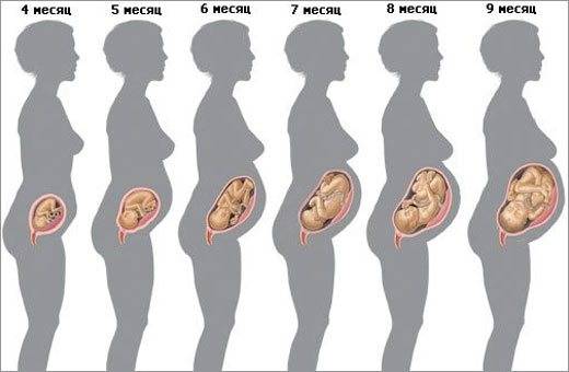 Изменения в женском организме во время беременности - причины, диагностика и лечение