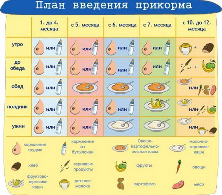 Горох прикорм - энциклопедия детское питание