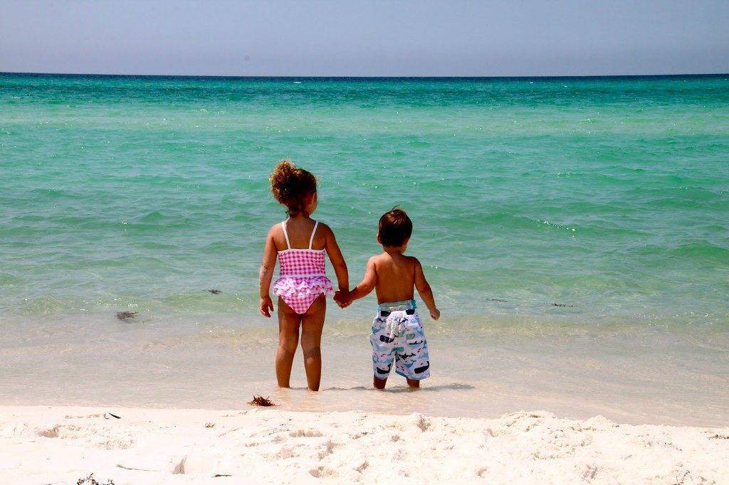 Куда поехать на черное море с детьми: обзор бюджетных курортов и развлекательных центров