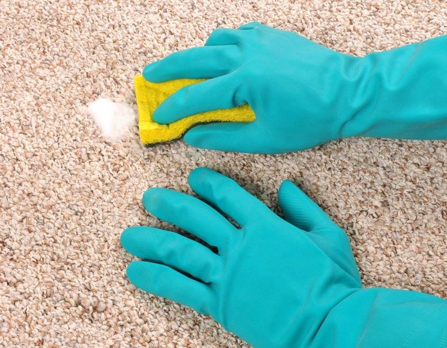 Как избавиться от запаха мочи на ковре: народные средства и бытовая химия