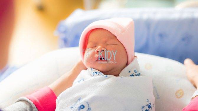 Боди для новорожденного: как выбрать и правильно надеть на малыша