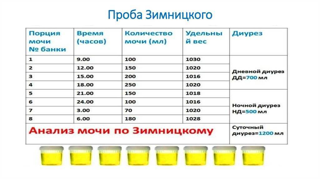 Сколько мочи нужно для анализа грудничка и как ее собрать