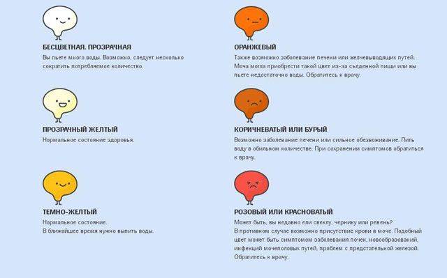 Ярко-желтая моча у ребенка: норма, причины, рекомендации | pro-md.ru
