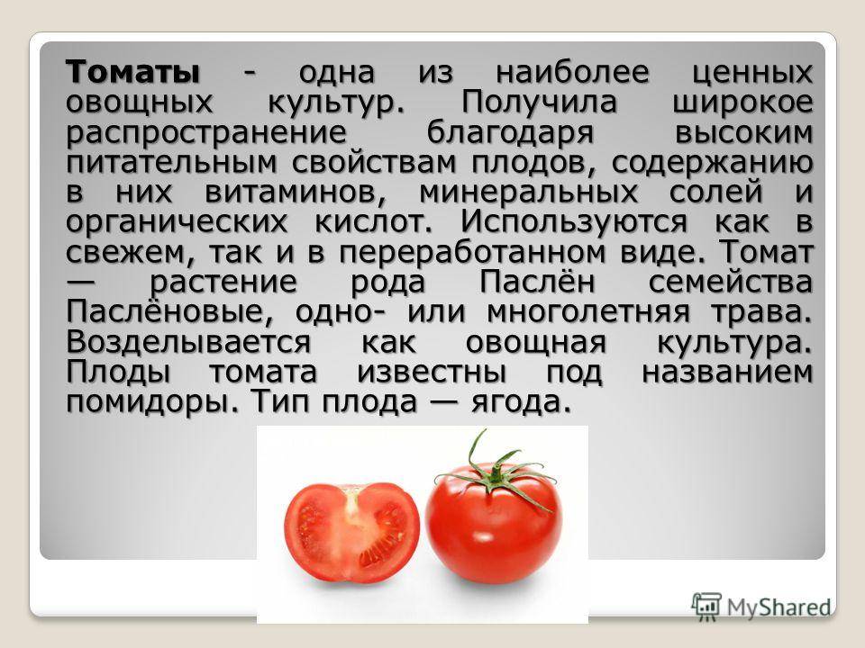 Когда ребенку можно давать помидор? 4 правила и 4 главных противопоказания