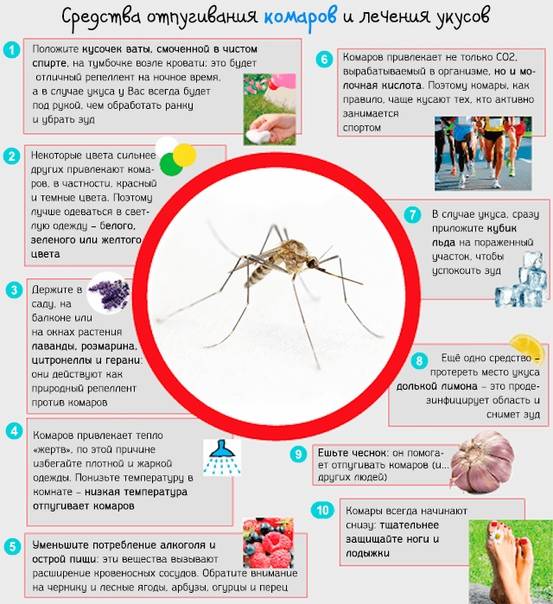 Укусы комаров - лечение, как снять отек, как помочь ребенку