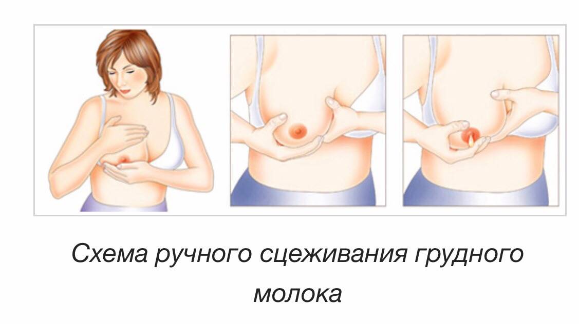 Как восстановить форму груди и подтянуть мышцы после кормления ребенка: уход и восстановление фигуры после родов и гв