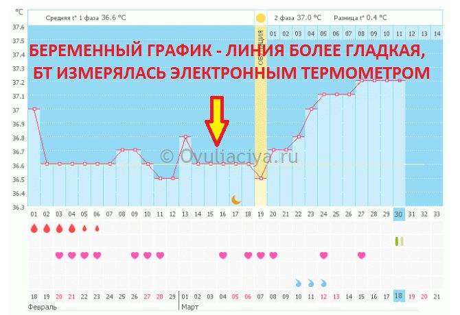 7 правил как измерить базальную температуру для определения беременности и овуляции, чтобы получить точный результат | семья и мама