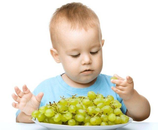 Что делать, если ребенок случайно проглотил косточку от фрукта или ягоды: первая помощь малышу